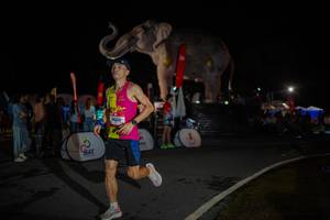 BIB: 
                            <button type="button" onclick="openModal(26551893)" class="btn btn-primary btn-sm float-right btn-popup" data-toggle="modal" data-target=".modal-high-quality">
                        <i class="fas fa-shopping-cart"></i> Add to Cart
                    </button>
                                            <button type="button" onclick="isThisMe(26551893, true)" class="btn btn-success btn-sm float-right btn-popup btn-isme hidden" data-toggle="tooltip" data-placement="bottom" title="นี่คือรูปของคุณใช่ไหม คลิกที่นี่เพื่อเอาเข้าอัลบั้ม">
                        <i class="fas fa-plus"></i> Add to album
                    </button>
                    <button type="button" onclick="isThisMe(26551893, false)" class="btn btn-warning btn-sm float-right btn-popup btn-isnotme hidden">
                        <i class="fas fa-ban"></i> Remove from album
                    </button>